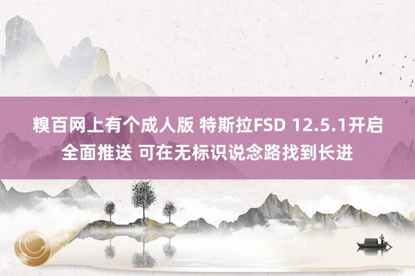 糗百网上有个成人版 特斯拉FSD 12.5.1开启全面推送 可在无标识说念路找到长进