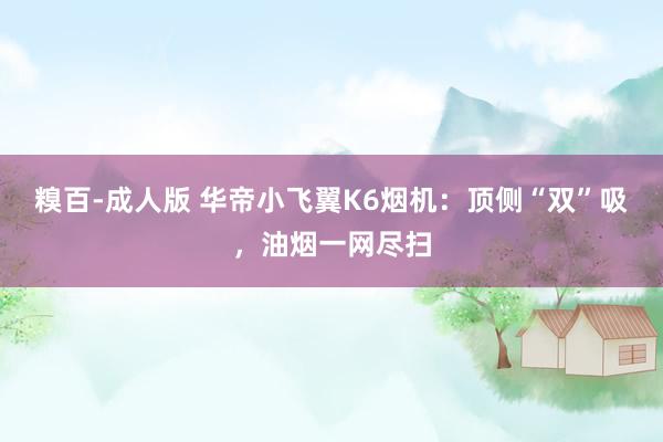 糗百-成人版 华帝小飞翼K6烟机：顶侧“双”吸，油烟一网尽扫