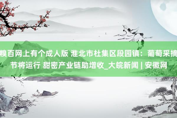 糗百网上有个成人版 淮北市杜集区段园镇：葡萄采摘节将运行 甜密产业链助增收_大皖新闻 | 安徽网