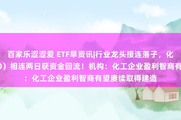 百家乐涩涩爱 ETF早资讯|行业龙头接连落子，化工ETF（516020）相连两日获资金回流！机构：化工企业盈利智商有望赓续取得建造