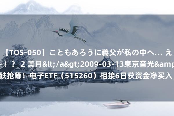【TOS-050】こともあろうに義父が私の中へ… え～中出しなのぉ～！？ 2 美月</a>2009-03-13東京音光&$東京音光86分钟 逢跌抢筹！电子ETF（515260）相接