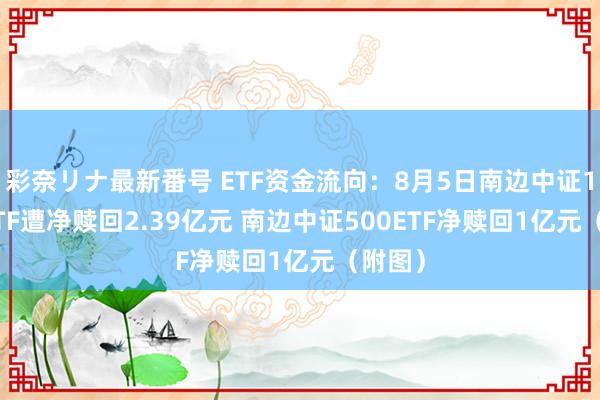 彩奈リナ最新番号 ETF资金流向：8月5日南边中证1000ETF遭净赎回2.39亿元 南边中证500ETF净赎回1亿元（附图）