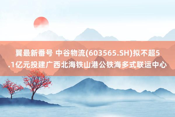 翼最新番号 中谷物流(603565.SH)拟不超5.1亿元投建广西北海铁山港公铁海多式联运中心