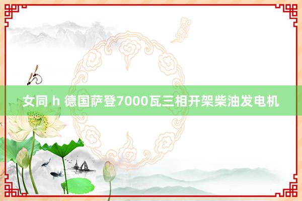 女同 h 德国萨登7000瓦三相开架柴油发电机