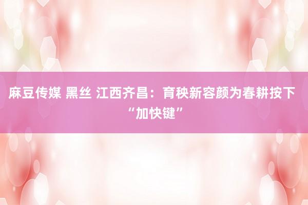 麻豆传媒 黑丝 江西齐昌：育秧新容颜为春耕按下 “加快键”