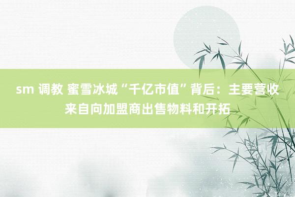 sm 调教 蜜雪冰城“千亿市值”背后：主要营收来自向加盟商出售物料和开拓