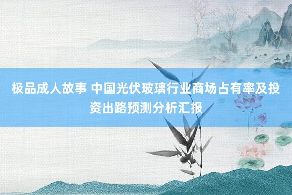 极品成人故事 中国光伏玻璃行业商场占有率及投资出路预测分析汇报