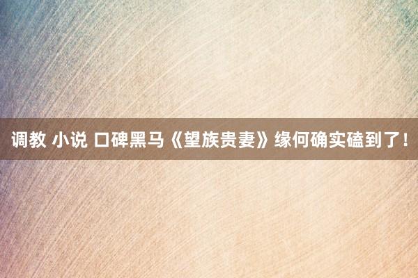 调教 小说 口碑黑马《望族贵妻》缘何确实磕到了！