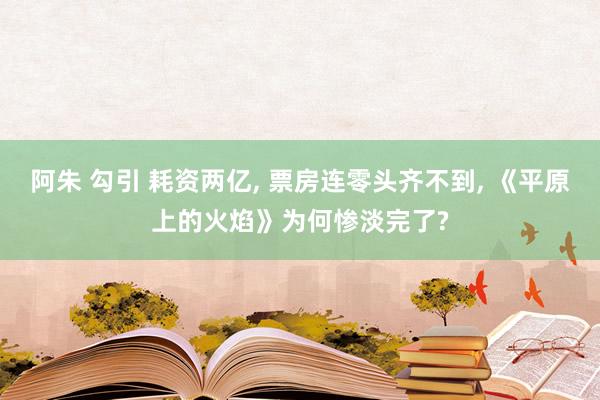 阿朱 勾引 耗资两亿, 票房连零头齐不到, 《平原上的火焰》为何惨淡完了?