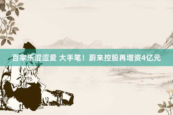 百家乐涩涩爱 大手笔！蔚来控股再增资4亿元