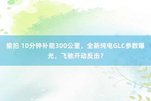 偷拍 10分钟补能300公里，全新纯电GLC参数曝光，飞驰开动反击？