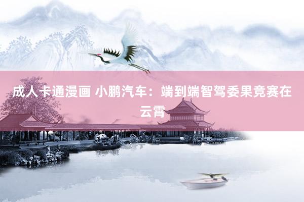 成人卡通漫画 小鹏汽车：端到端智驾委果竞赛在云霄